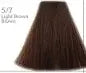 Augeas Hair Colour 100ml My Store